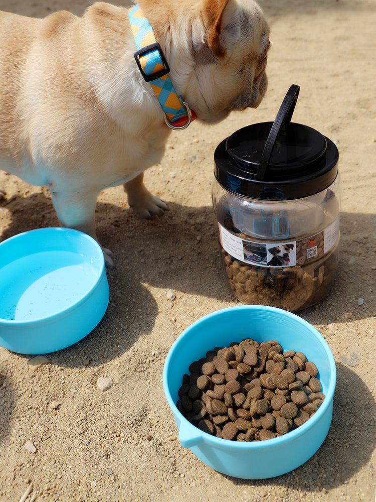 Dog food four in one bento box