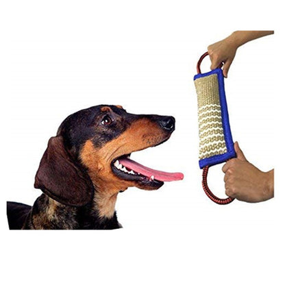 Dog training blue edge bite stick