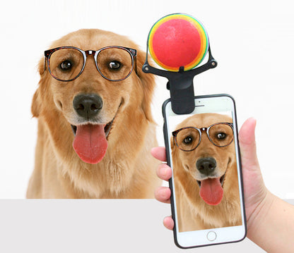 Pet photo props toy pet photo selfie artifact funny dog camera phone clip tennis selfie clip