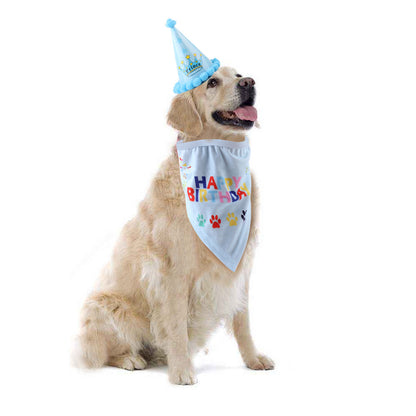 Dog birthday hat pet hat