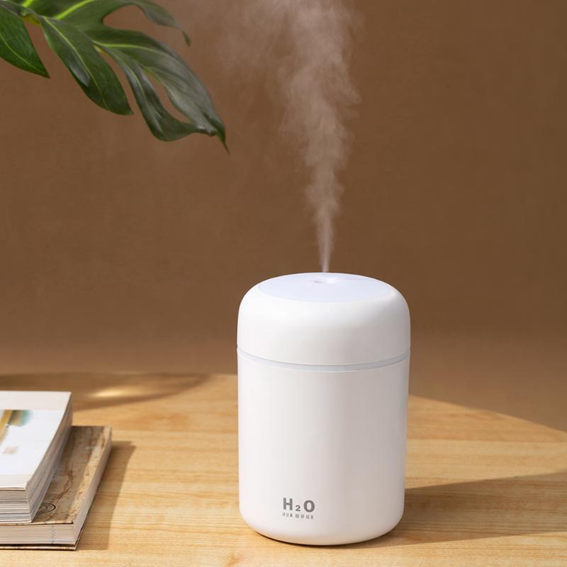 Car Air Purifying Humidifier