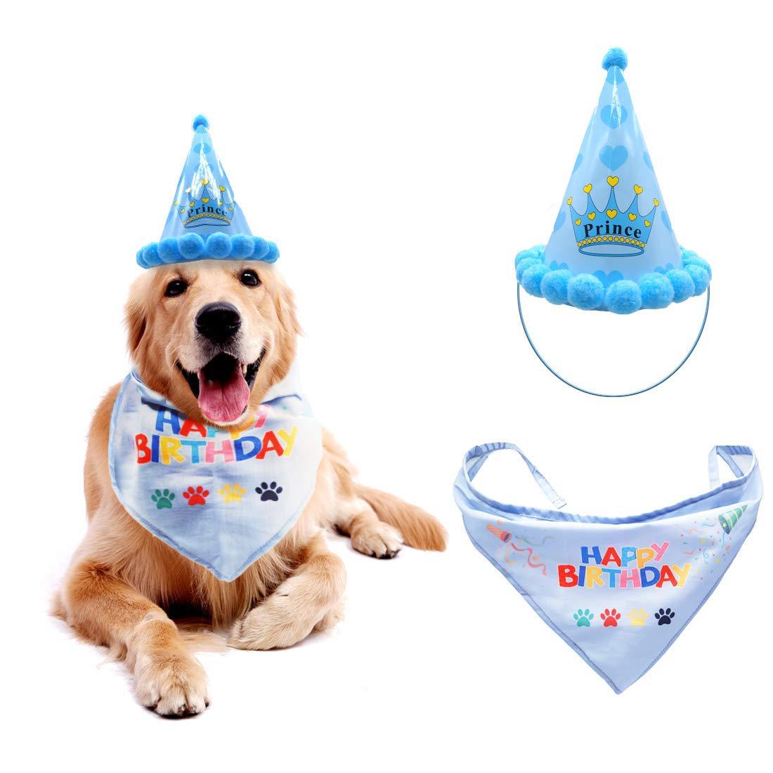 Dog birthday hat pet hat