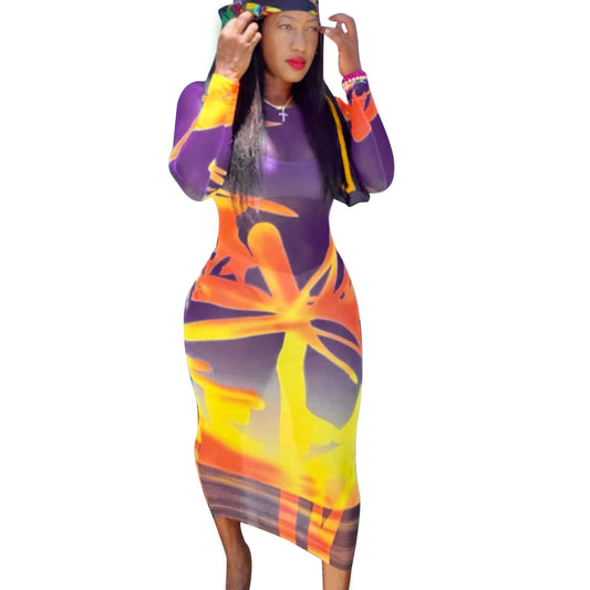 Casual Round Neck Long Sleeve Printed Mesh Dress